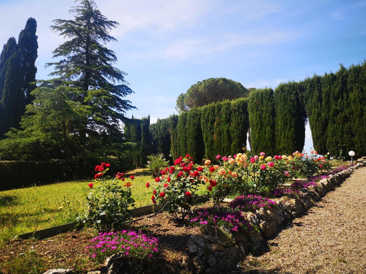 Villa Bellaria Campagnatico 外观 照片